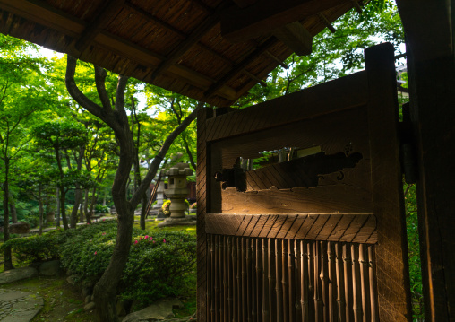 Garden of kyu asakura traditional japanese house from taisho era, Kanto region, Tokyo, Japan