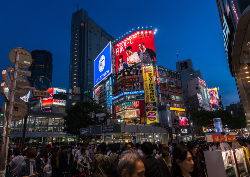 Shibuya crossing at night, Kanto region, Tokyo, Japan