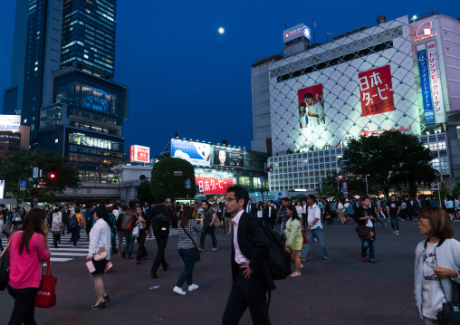 Shibuya crossing at night, Kanto region, Tokyo, Japan