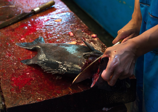 Vendor cutting fish at the tsukiji fish market, Kanto region, Tokyo, Japan