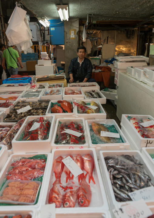 Tsukiji fish market, Kanto region, Tokyo, Japan