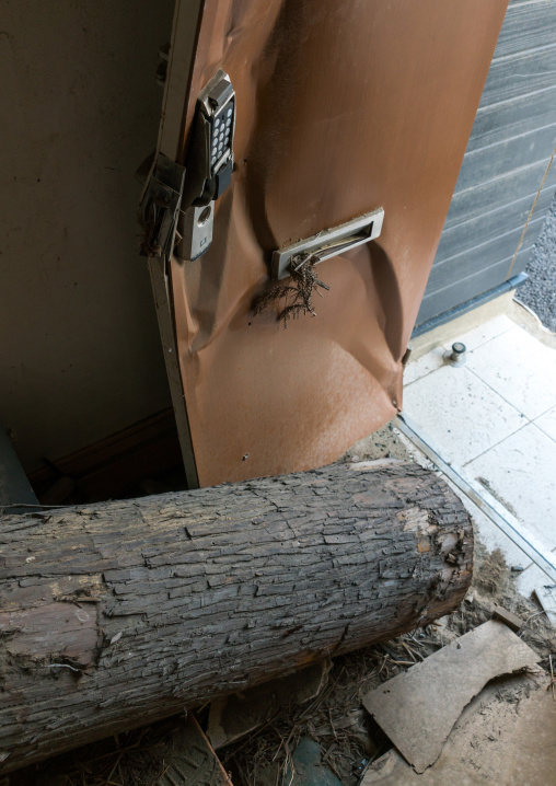 Tree trunk inside a house destroyed by the 2011 earthquake and tsunami five years after, Fukushima prefecture, Tomioka, Japan