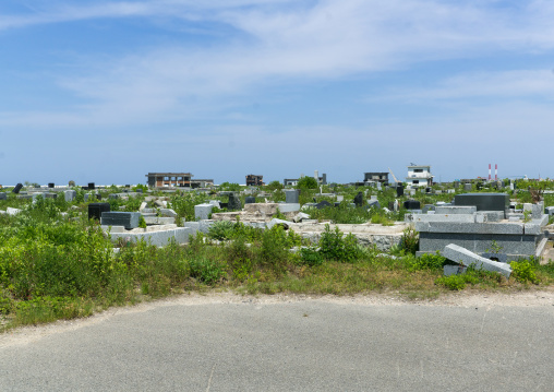 Foundations of the houses destroyed by the earthquake and the tsunami of 2011 five years after, Fukushima prefecture, Namie, Japan