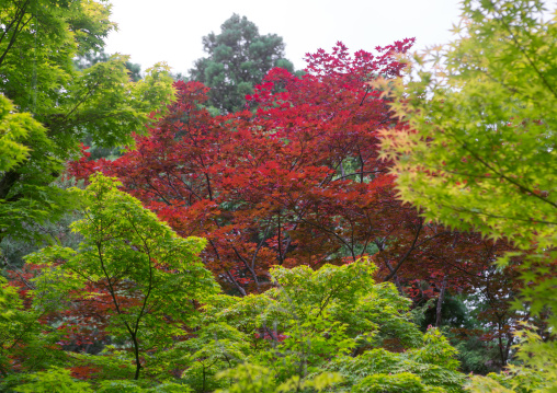 Garden in koto-in zen buddhist temple in daitoku-ji, Kansai region, Kyoto, Japan