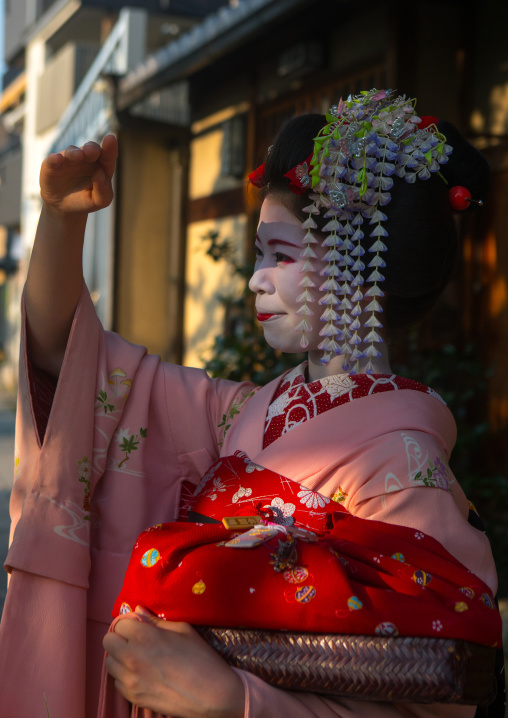 Portrait of a 16 years old maiko called chikasaya, Kansai region, Kyoto, Japan