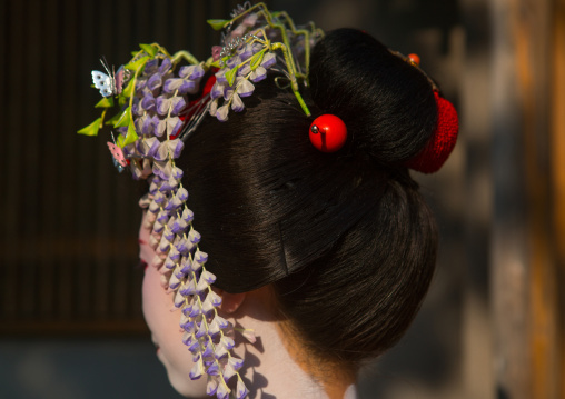 16 Years old maiko called chikasaya, Kansai region, Kyoto, Japan