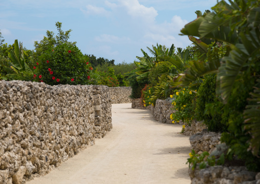 Sandy alley in Hoshinoya hotel, Yaeyama Islands, Taketomi island, Japan