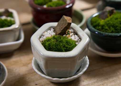 Yutaka Imada shop selling moss, Kansai region, Osaka, Japan