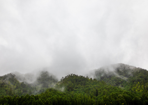 Floating fog on a hill, Kyoto Prefecture, Miyama, Japan