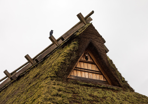 Thatched roofed house in a traditional village, Kyoto Prefecture, Miyama, Japan