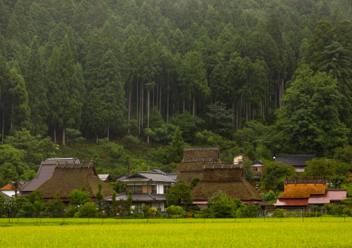 Thatched roofed houses in a traditional village against a forest, Kyoto Prefecture, Miyama, Japan