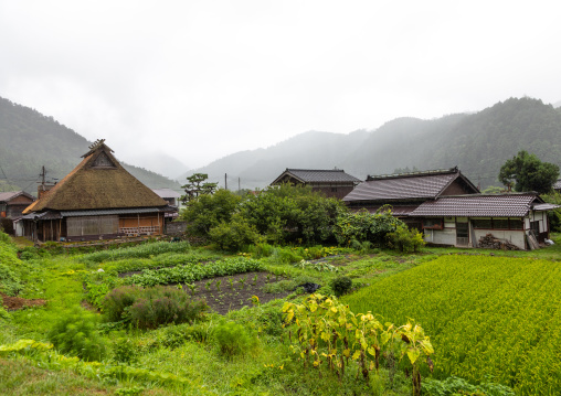 Thatched roofed houses in a traditional village, Kyoto Prefecture, Miyama, Japan