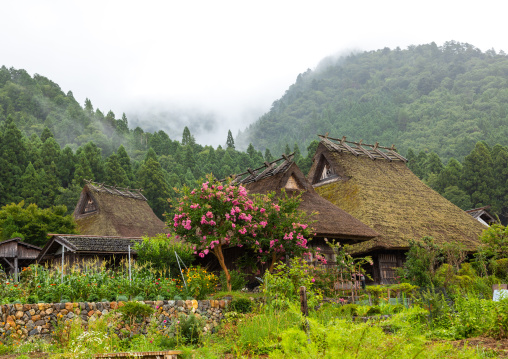 Thatched roofed houses in a traditional village, Kyoto Prefecture, Miyama, Japan