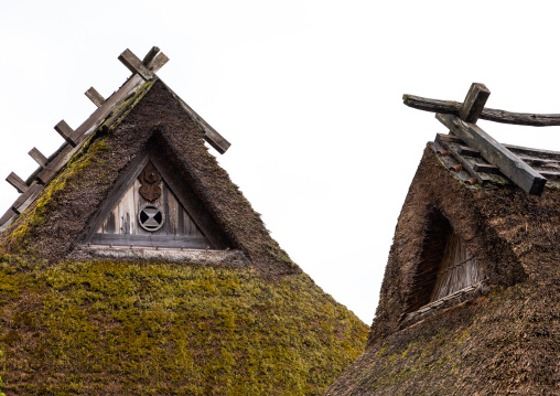 Thatched roofed houses in a traditional village, Kyoto Prefecture, Miyama, Japan