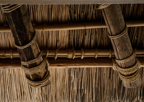 Thatched roofed house in a traditional village, Kyoto Prefecture, Miyama, Japan