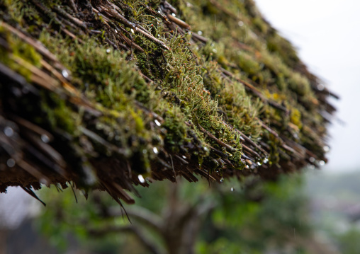 Rain on a thatched roofed house in a traditional village, Kyoto Prefecture, Miyama, Japan