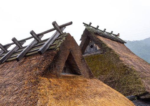 Thatched roofed houses in a traditional village, Kyoto Prefecture, Miyama, Japan