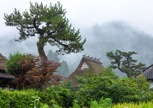 Thatched roofed house in a traditional village, Kyoto Prefecture, Miyama, Japan