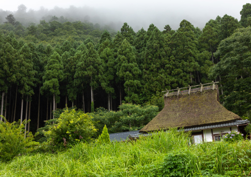 Thatched roofed house in a traditional village, Kyoto Prefecture, Miyama, Japan