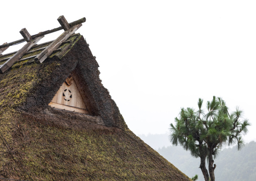 Thatched roofed house in a traditional village, Kyoto Prefecture, Miyama, Japan