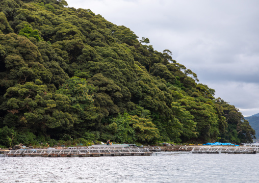 Fish farm in the sea, Kyoto prefecture, Ine, Japan