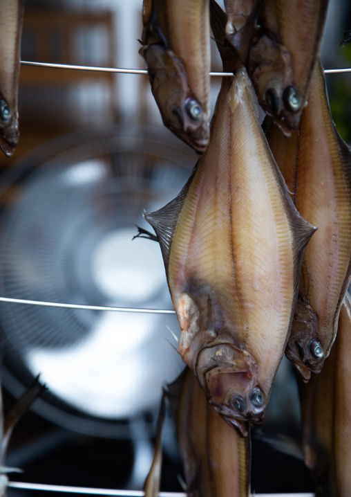 Fishes drying with a fan, Kyoto prefecture, Ine, Japan