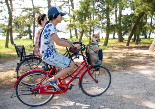 Japanese women riding bicycles in Amanohashidate, Kyoto Prefecture, Miyazu, Japan