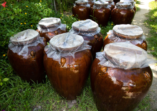 Jars in no shio salt factory, Yaeyama Islands, Ishigaki-jima, Japan