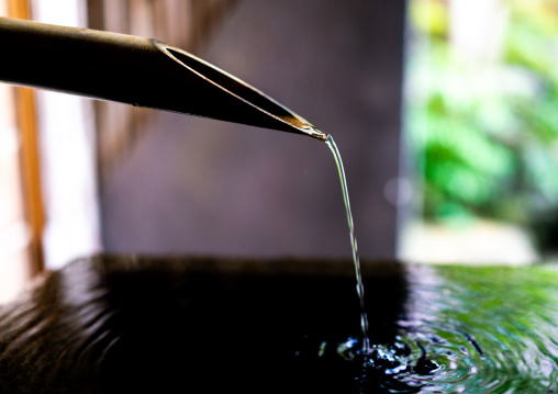 Japanese zen-mood cho-zu, Ishikawa Prefecture, Kanazawa, Japan