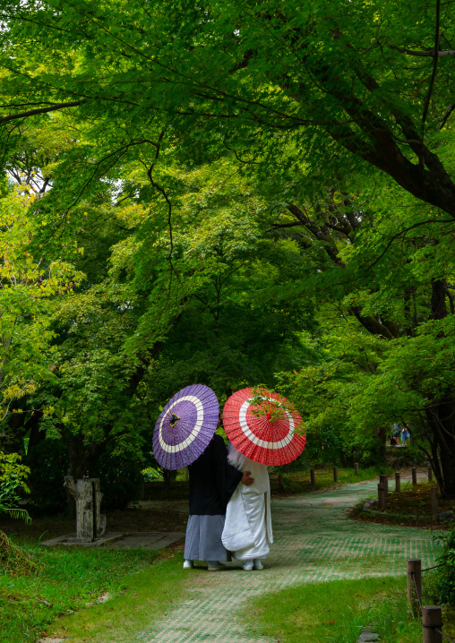 Japanese couple with umbrellas in the botanic garden, Kansai region, Kyoto, Japan