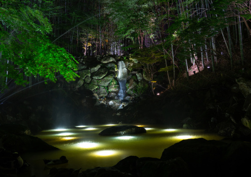 Bamboo forest in Takefue ryokan, Kumamoto Prefecture, Minamioguni-machi, Japan