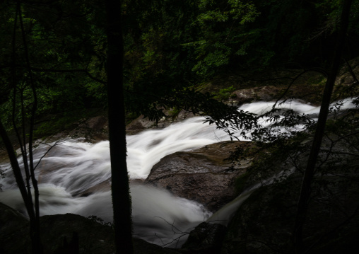 Long exposure of a river in Yakusugi land, Kagoshima Prefecture, Yakushima, Japan