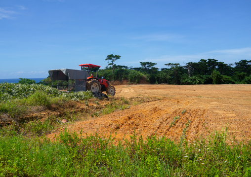 Truck with harvested pineapples through fields, Yaeyama Islands, Iriomote, Japan