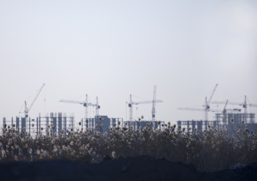 Buildings And Cranes In The Steppe, Astana, Kazakhstan