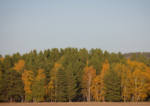 Autumn In The Steppe, Kazakhstan