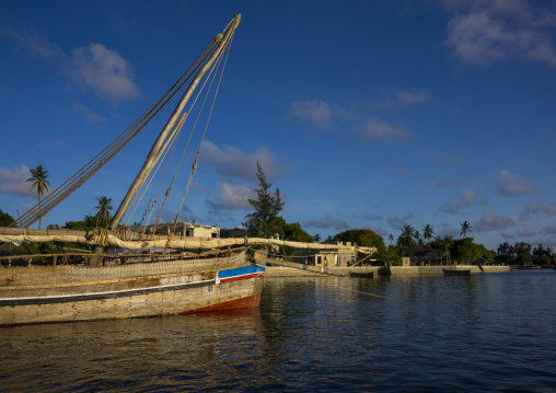 Fishing dhows moored along coastline, Lamu county, Matondoni, Kenya