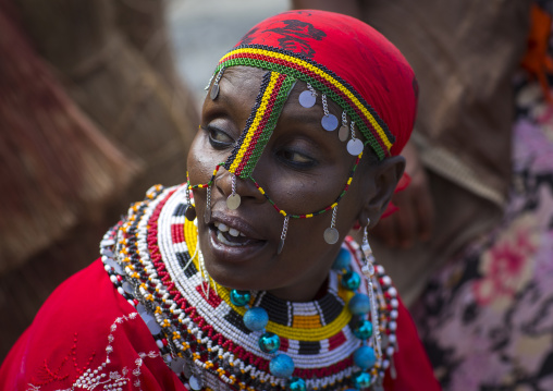 Rendille tribeswoman wearing traditional headdress and jewellery, Turkana lake, Loiyangalani, Kenya