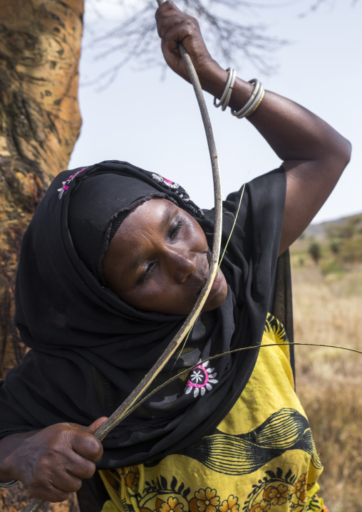 Borana woman cutting wood with her teeth to build a house, Marsabit district, Marsabit, Kenya