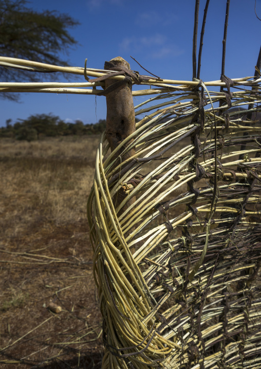 Borana tribe hut, Chalbi desert, Marsabit, Kenya