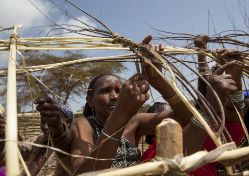 Borana women building a house with wood, Marsabit district, Marsabit, Kenya