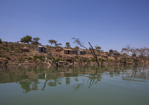 Trees covered by increased water, Baringo county, Baringo, Kenya