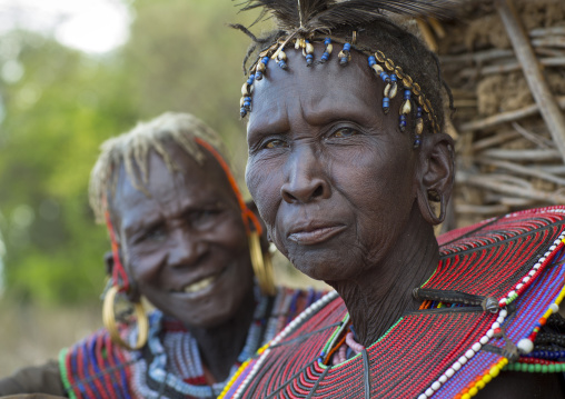 Pokot women wear large necklaces made from the stems of sedge grass, Baringo county, Baringo, Kenya