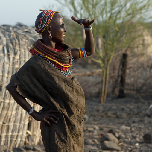 Rendille tribeswoman wearing traditional headdress and mpooro engorio necklace, Marsabit district, Ngurunit, Kenya