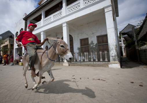 Donkey race during the Maulid festival, Lamu County, Lamu, Kenya