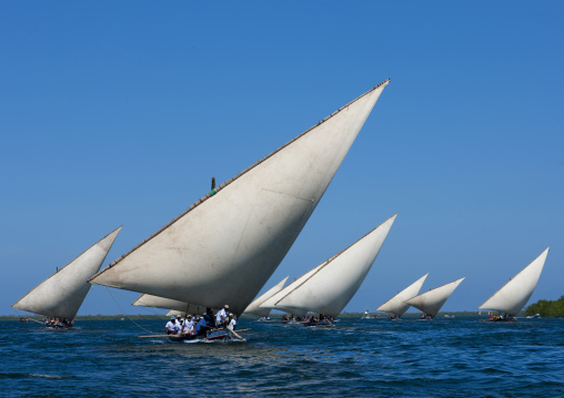 Dhow race during the Maulid festival, Lamu County, Lamu, Kenya