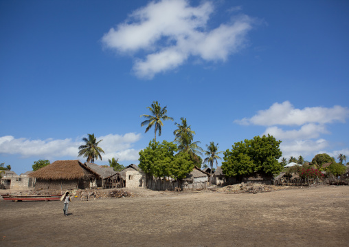 Traditional village with thatched roofs, Lamu County, Matondoni, Kenya