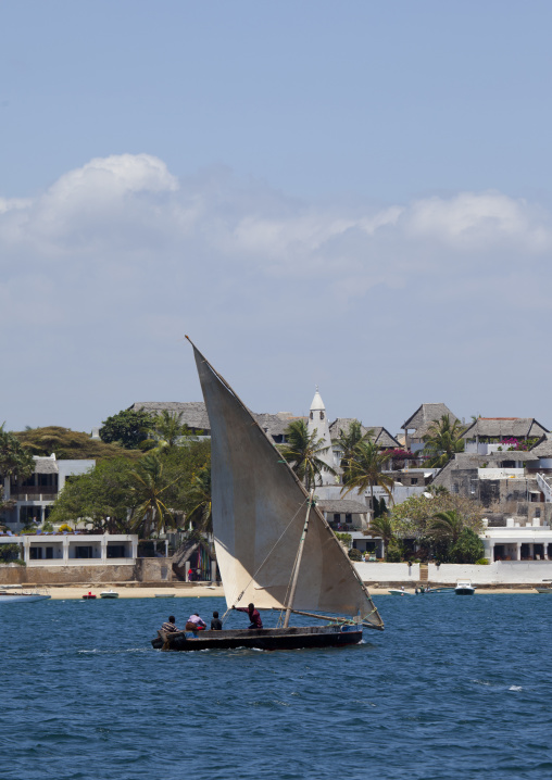 Dhow sailing along the coast, Lamu County, Shela, Kenya