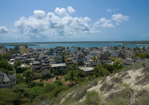 Stone townhouses in the palm trees, Lamu County, Shela, Kenya