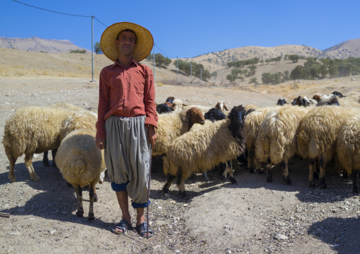 Kurdish Sheperd, Azaban, Kurdistan, Iraq