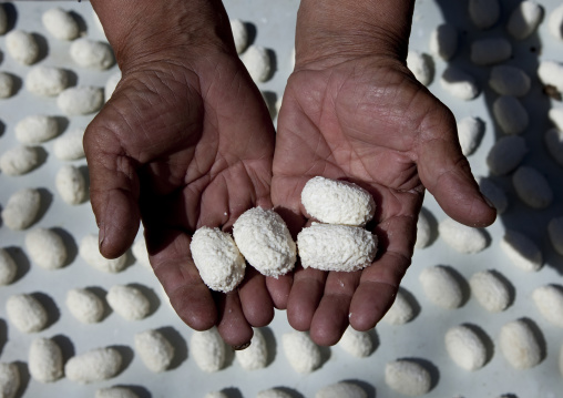 Showing The Cheese They Make, Kyzart River, Kyrgyzstan